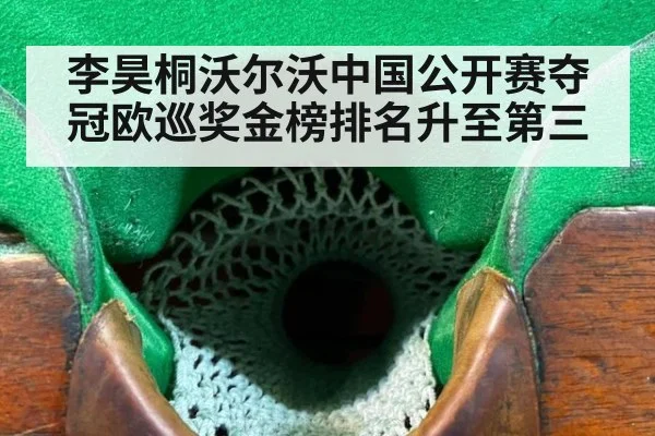 李昊桐沃尔沃中国公开赛夺冠欧巡奖金榜排名升至第三
