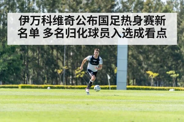 伊万科维奇公布国足热身赛新名单 多名归化球员入选成看点